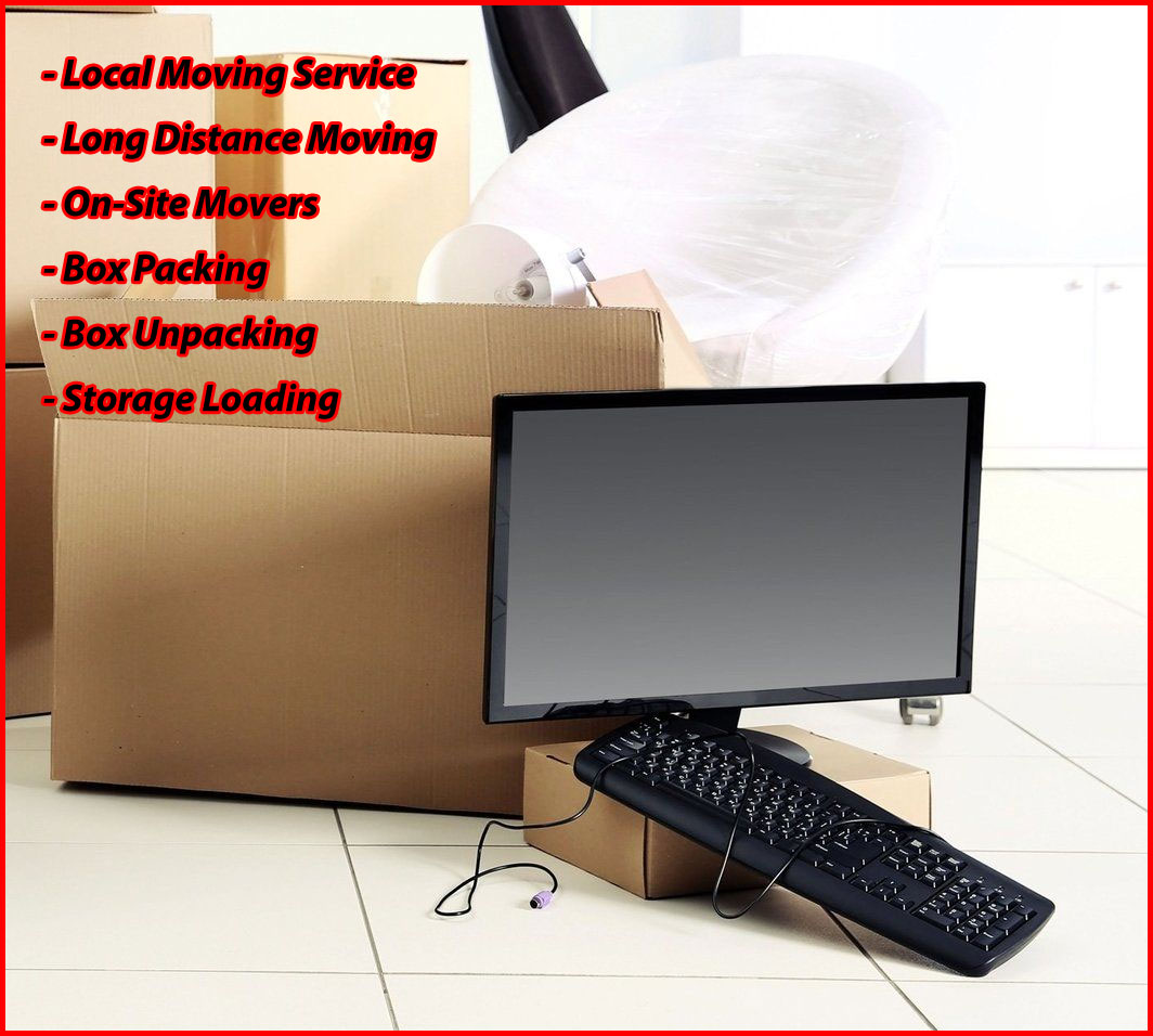Packers And Movers Noida Sector 56
